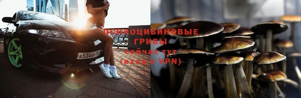 экстази Арсеньев