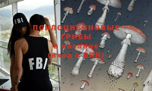 ПСИЛОЦИБИНОВЫЕ ГРИБЫ Балахна