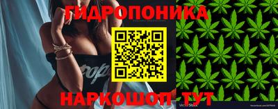 mdpv Малгобек