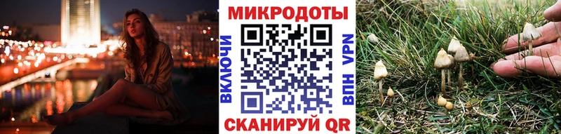 Галлюциногенные грибы Magic Shrooms Гурьевск