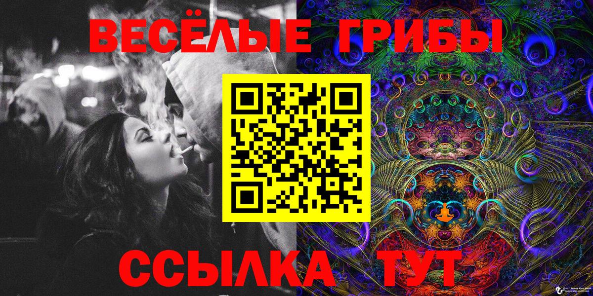 Псилоцибиновые грибы мухоморы Гурьевск